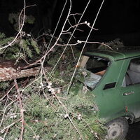 Fırtına ağaçları devirdi, elektrik tellerini kopardı