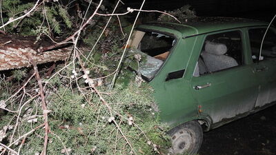 Fırtına ağaçları devirdi, elektrik tellerini kopardı