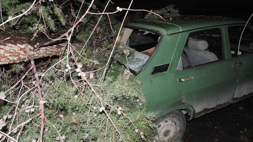 Fırtına ağaçları devirdi, elektrik tellerini kopardı