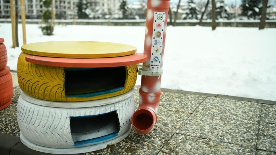 Bolu başsavcılığı kedilere ev yaptırdı