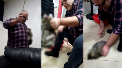 İş adamından kediye tüyler ürperten şiddet! Gözaltına alındı