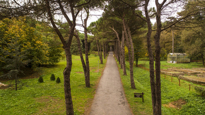 İstanbul'un yeşil haritası