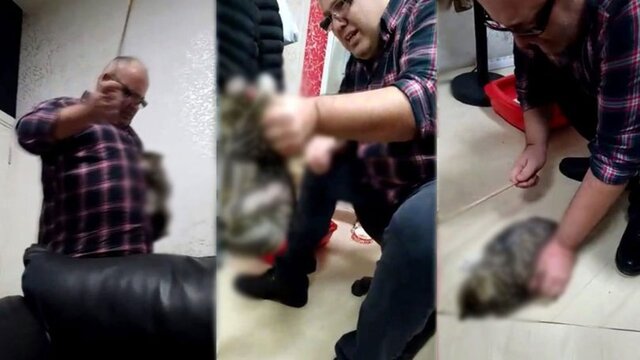 Kediye işkence yapan adam akıl hastanesine sevk edildi