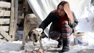 Hayvan dostu profesör! 20 yıldır onları besliyor!