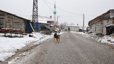10 haneli köyün muhtarlığı için 3 aday yarışacak!