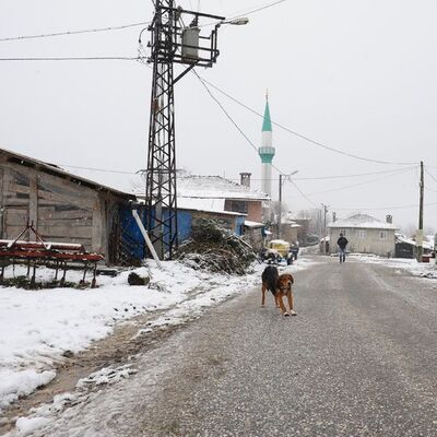 10 haneli köyün muhtarlığı için 3 aday yarışacak!