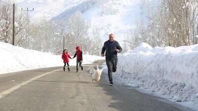 Sabah kazla koşuya çıkıyor, akşam tilki ailesini besliyor