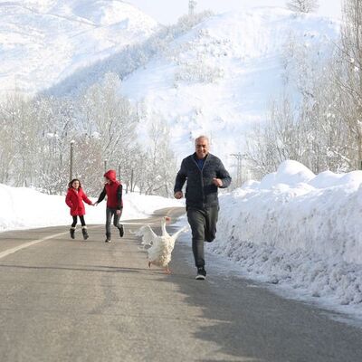 Sabah kazla koşuya çıkıyor, akşam tilki ailesini besliyor