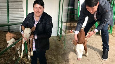 'Tosuncuk'la ilgili akılalmaz gerçek ortaya çıktı!