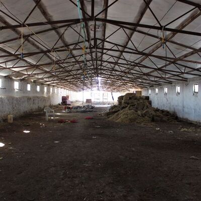 'Ukrayna'dan canlı hayvan' reklamı hayatını kararttı... Bugün yarın gelecek diye 2 yıldır bekliyor!