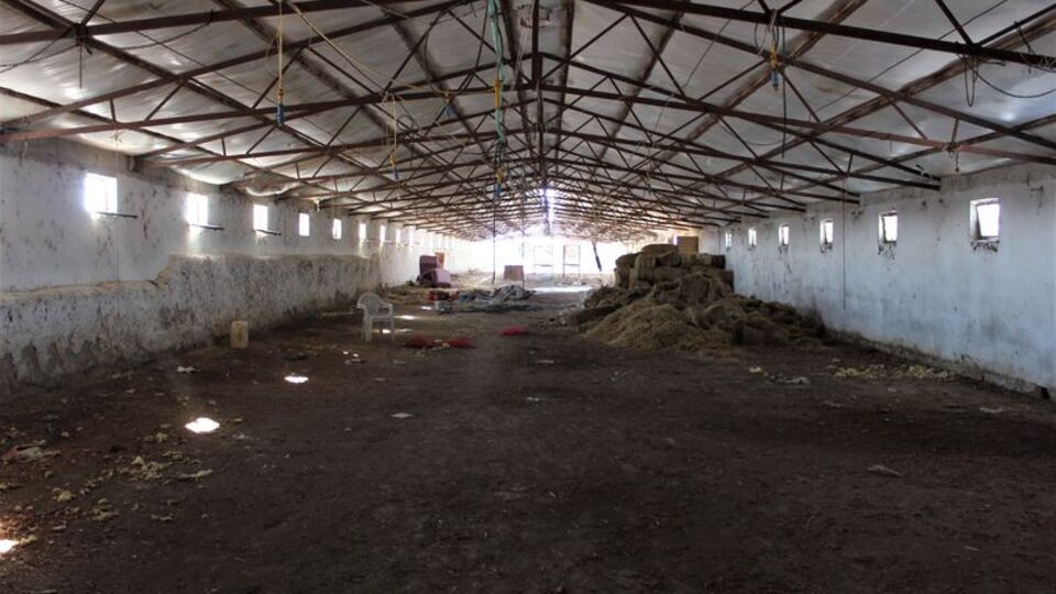 'Ukrayna'dan canlı hayvan' reklamı hayatını kararttı... Bugün yarın gelecek diye 2 yıldır bekliyor!