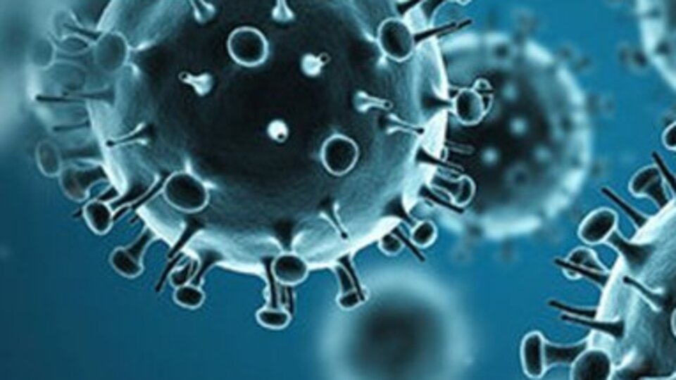 Romanya'da 25 kişi gripten hayatını kaybetti