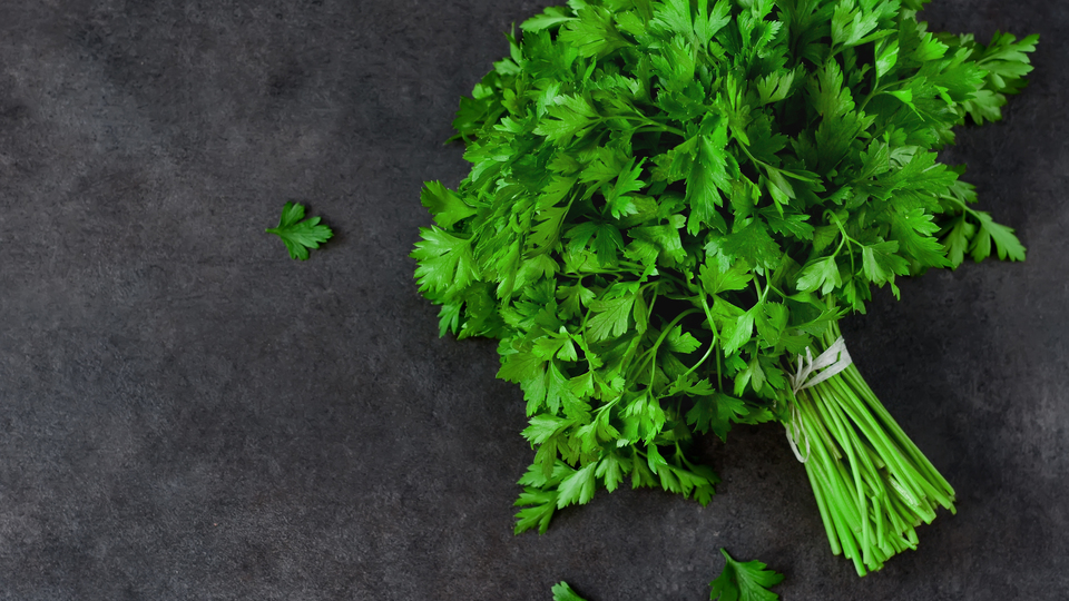 Dikkat! O parazit kör ediyor...