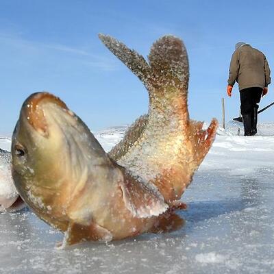 Donan göldeki balığı böyle avlıyorlar...