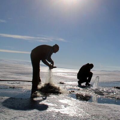 Doğu Anadolu'da Eskimo usulü balık avı