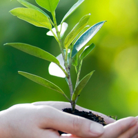 Poşet kullanımını yüzde 30 azalttı!