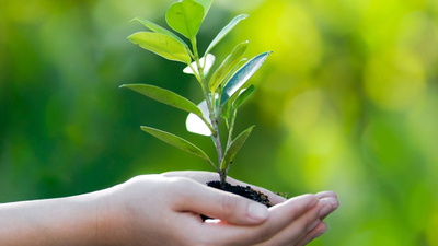 Poşet kullanımını yüzde 30 azalttı!