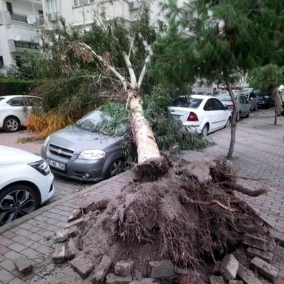 Dün Antalya bugün İzmir! Çatılar uçtu, vapur seferleri iptal edildi