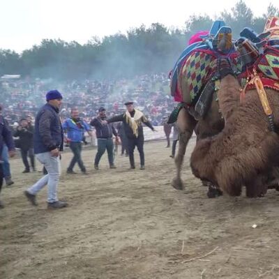 Deve güreşi ve UNESCO! Emin misiniz?