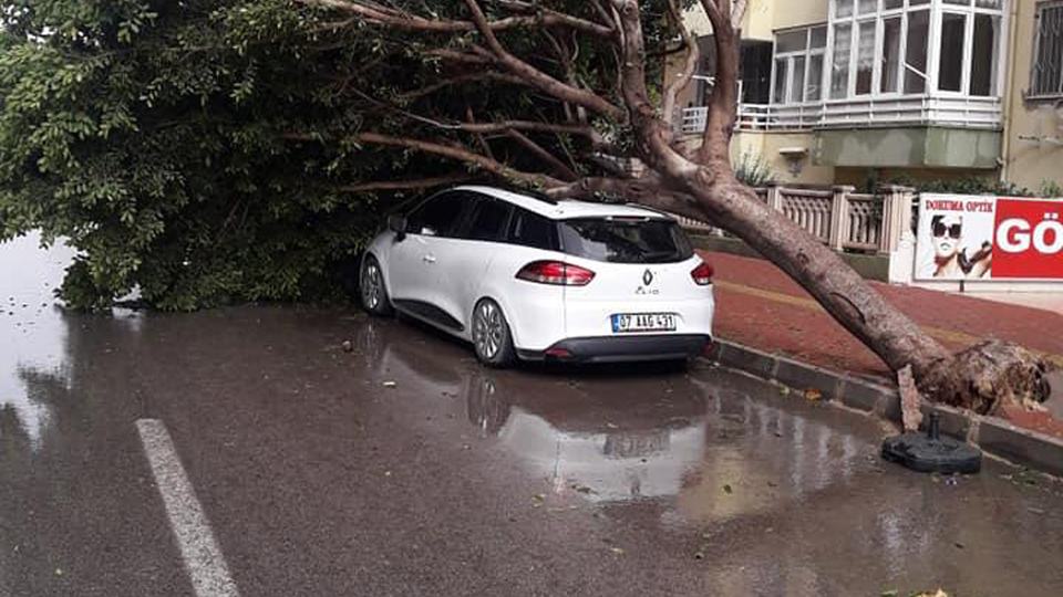 Fırtına ağaçları kökünden söktü, seyir halindeki otomobillerin üzerine devirdi