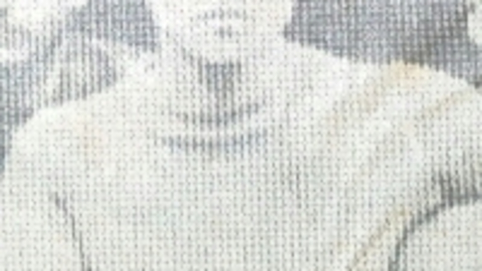 Fenerbahçe'nin Ermeni kalecisi Aslanyan "ilk plonjon yapan"dı