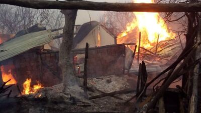 Sobadan çıkan yangında 14 hayvan öldü