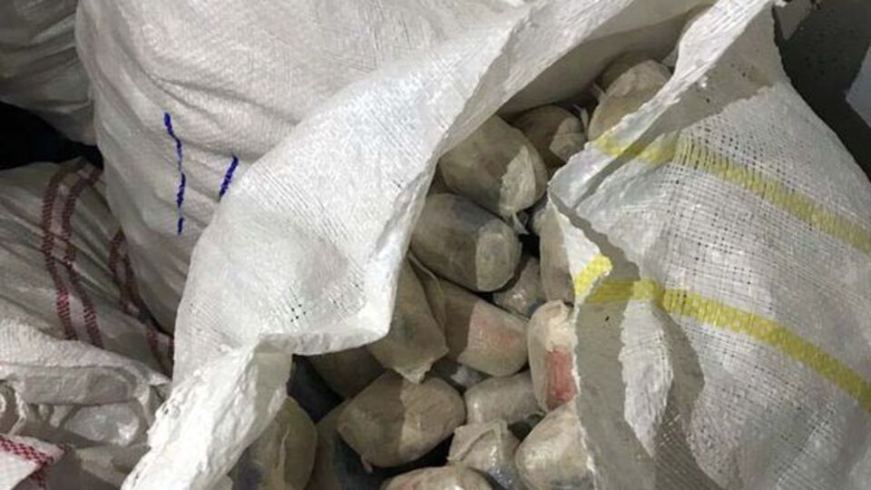Hiç yakalamamış gibi yapıp tuzağa düşürdüler!