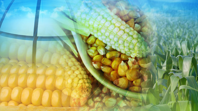 Tat Nişasta'nın yüzde 50 hissesini Tezcanlar alıyor