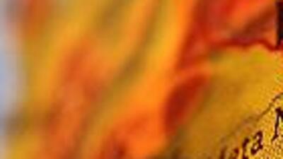 ABD'den vatandaşlarına o ülke için seyahat uyarısı