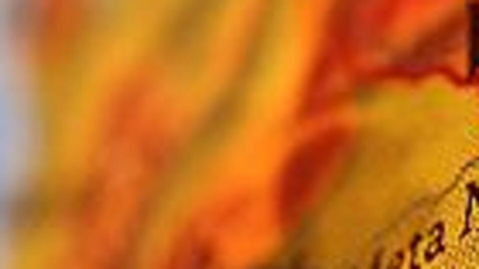 ABD'den vatandaşlarına o ülke için seyahat uyarısı