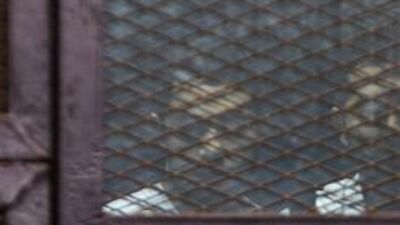 Mısır'da 54 kişi gözaltına alındı