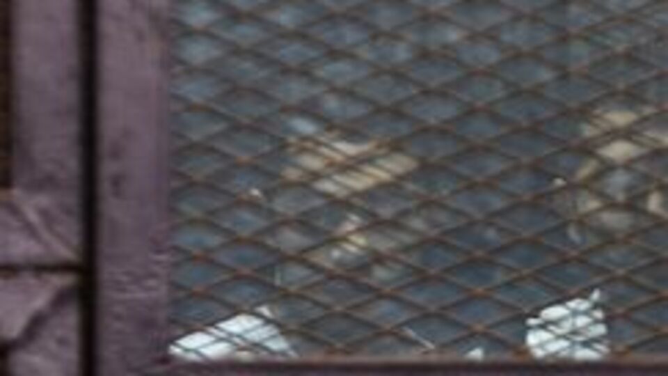 Mısır'da 54 kişi gözaltına alındı