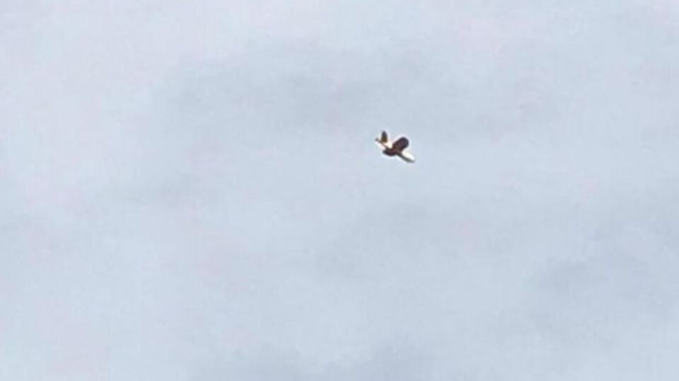 Teröristler böyle saldıracaklardı!