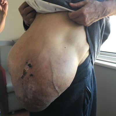 Görenleri hayrete düşürdü! Karnı her geçen gün büyüyünce...