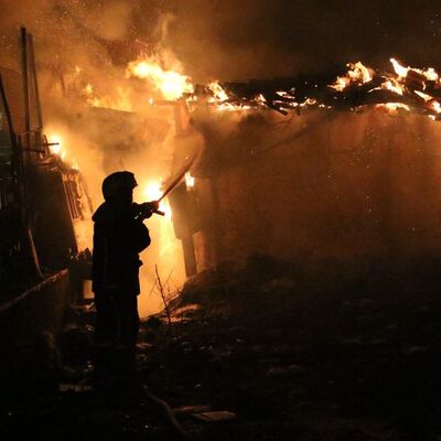 Korkunç! Mahalleli alevleri geçemedi, 5 yavru köpek kurtulamadı