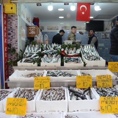 Fiyatları 10 TL’ye sabitlendi, talep patladı