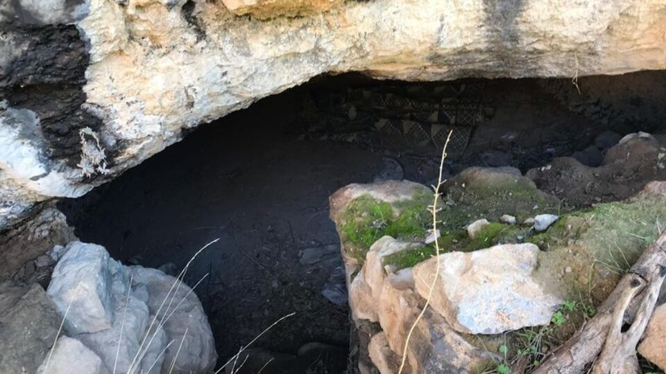 Şırnak'ta terör operasyonu