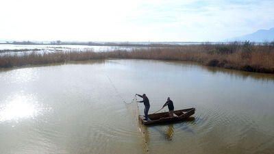 Tarım arazisinde balık avı
