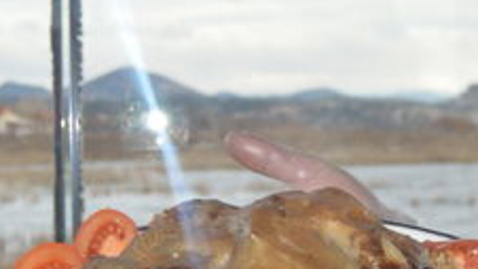 3 bin yıllık lezzet yeniden canlandı!