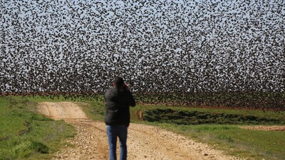 Yer Mardin... Binlercesi oraya akın etti