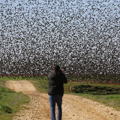 Yer Mardin... Binlercesi oraya akın etti