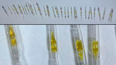 612 tüp kobra zehri!