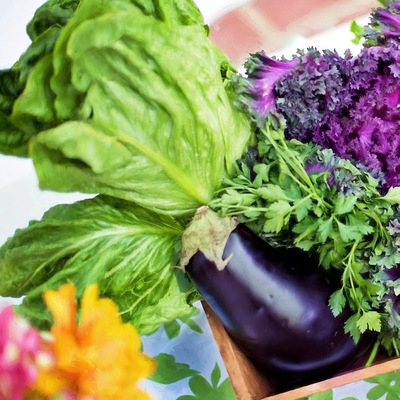 Ticarette yok böyle kazanç! Ağustos dolarıyla yarışıyor