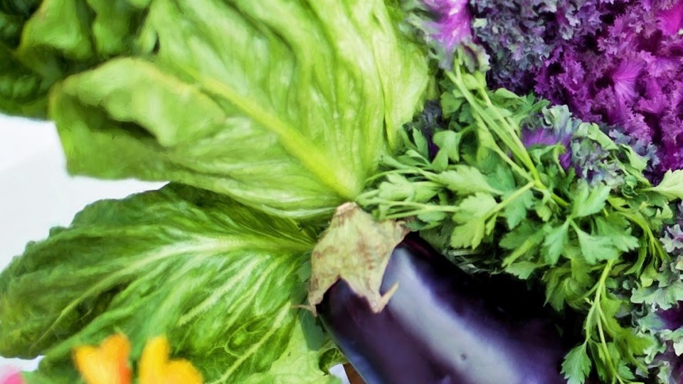 Ticarette yok böyle kazanç! Ağustos dolarıyla yarışıyor