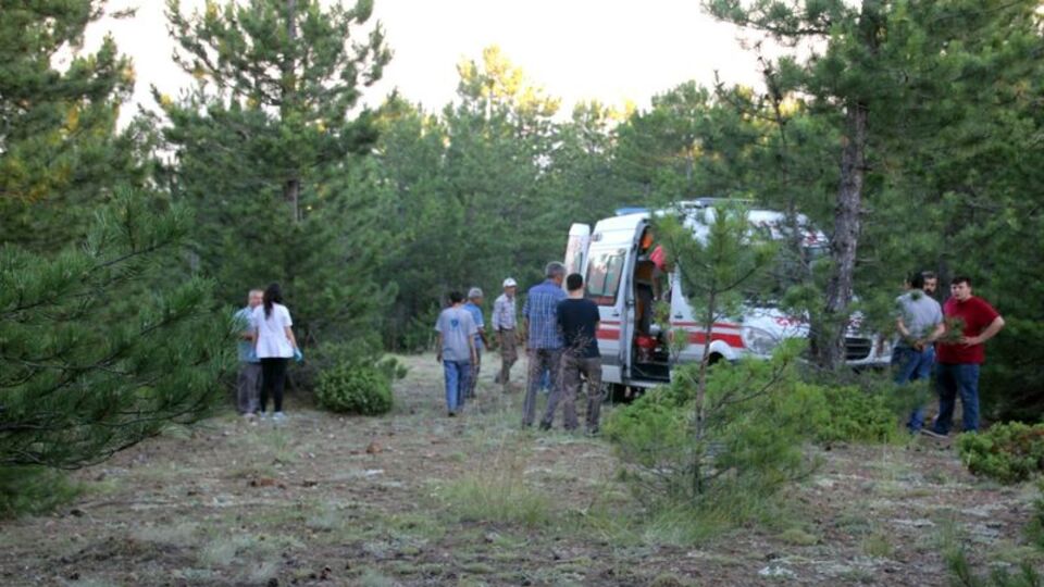 Ağaçtan düşen işçi hayatını kaybetti