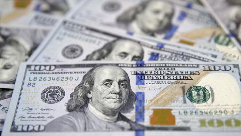 Döviz hesapları bir yılda 220,5 milyar lira arttı