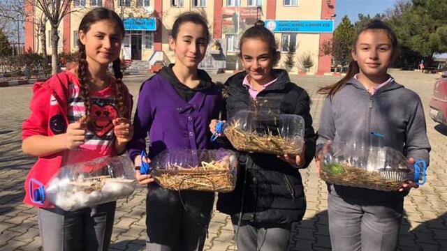 Kuşlar üşümesin diye bakın ne yaptılar?