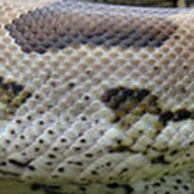 Sıra dışı Sevgililer Günü fırsatı! İntikam almak isteyenler bunu yapıyor!