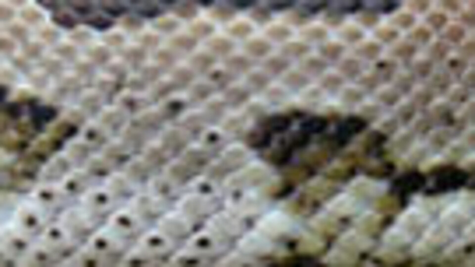 Sıra dışı Sevgililer Günü fırsatı! İntikam almak isteyenler bunu yapıyor!