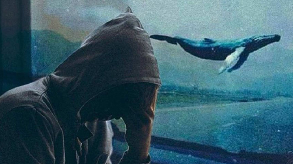 Emniyet Müdürü anlattı: 'Mavi Balina' tehdidi!